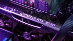 GPU purple