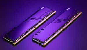 Ram stick purple